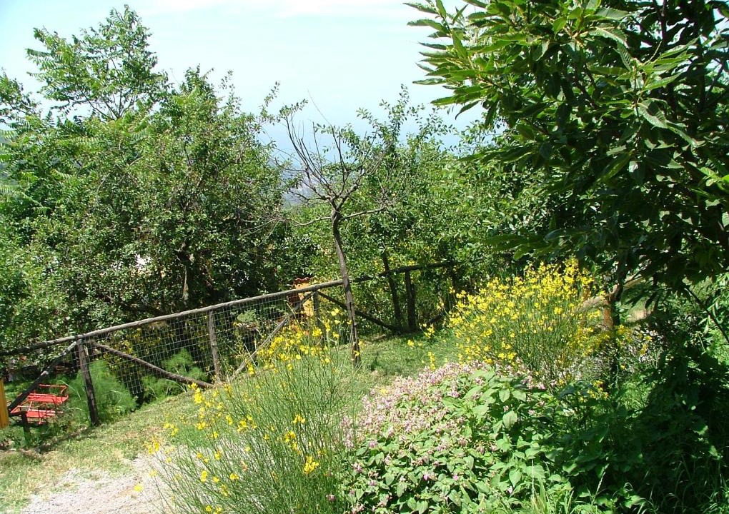 Moiano House | Agriturismo La Ginestra
