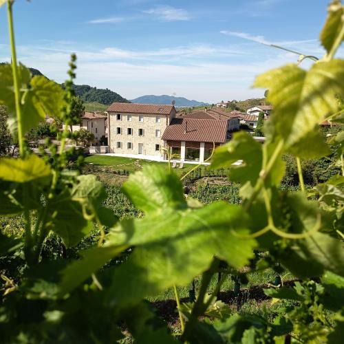 Guia Bed & Breakfast | Agriturismo Rive De Guia
