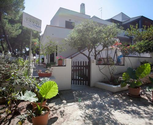 Tremiti Islands Hotel | Albergo LA PINETA