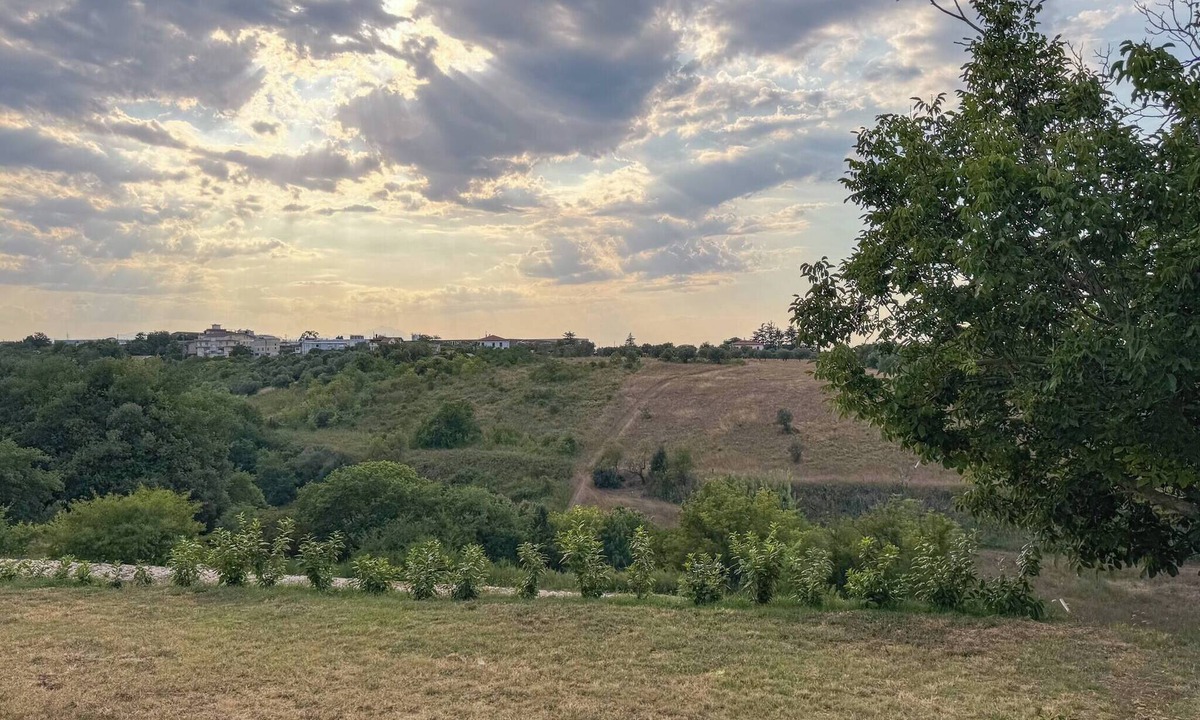 Ortona House | All'ombra della quercia