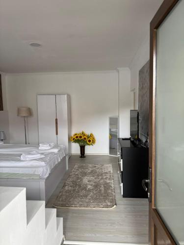 Ocna Mures Apartment | AME Home