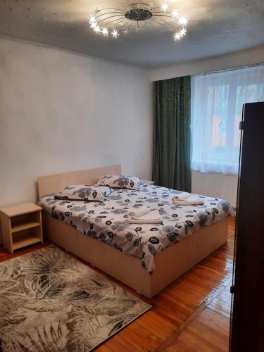 Lupeni Apartment | Apartament Central