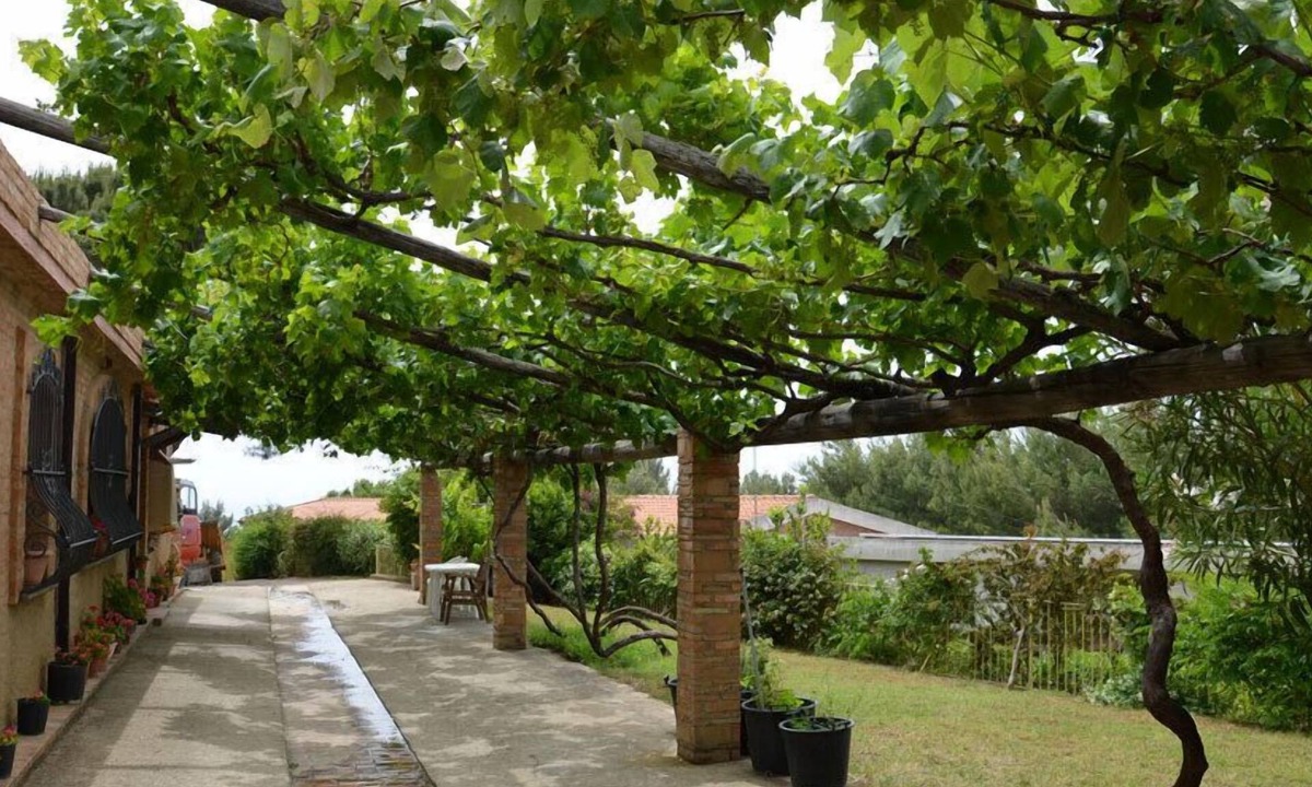 Borgia Apartment | Apartment-Apartment-Shared Bathroom-Garden view-Ginestra