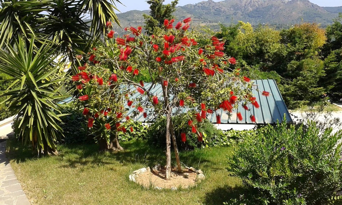Capoliveri Apartment | Apartment in villa 2 to 3 persons with large private garden
