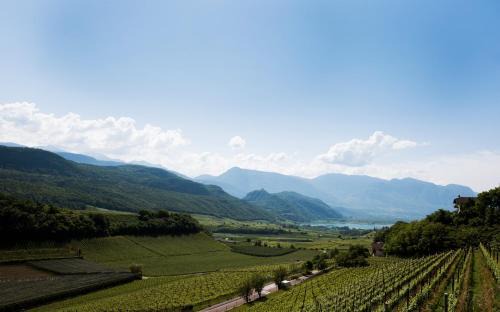 Caldaro Sulla Strada del Vino Apartment | Apartments Windegg
