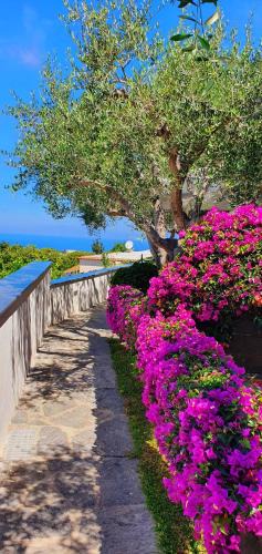 Panza Apartment | Appartamenti Luongo