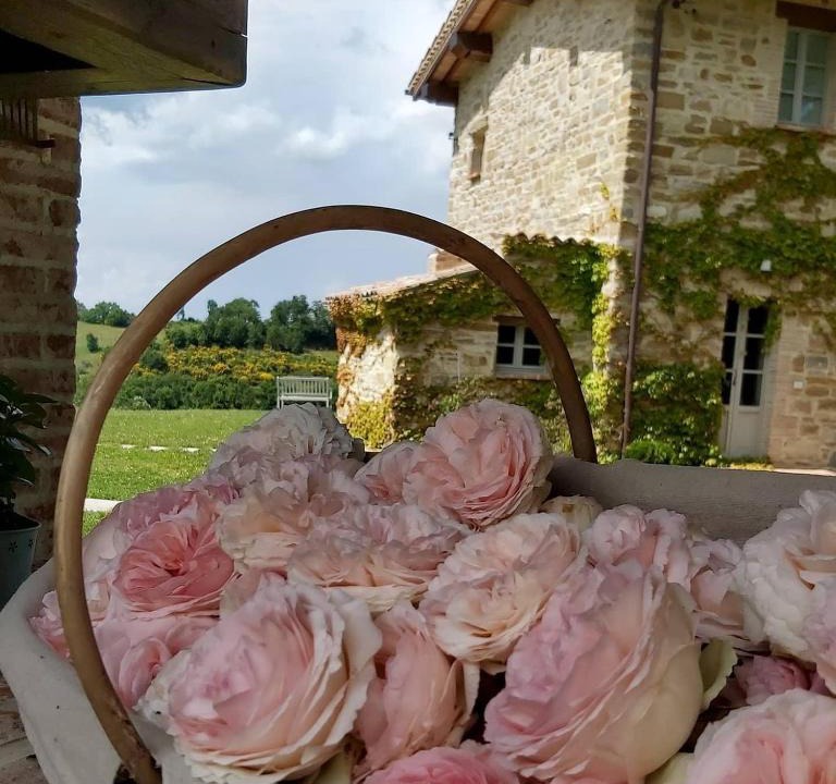 Nerbisci Bed & Breakfast | B&B Cascina Artemisia