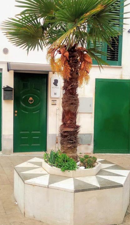 Casalbordino Apartment | B&B Don Peppe