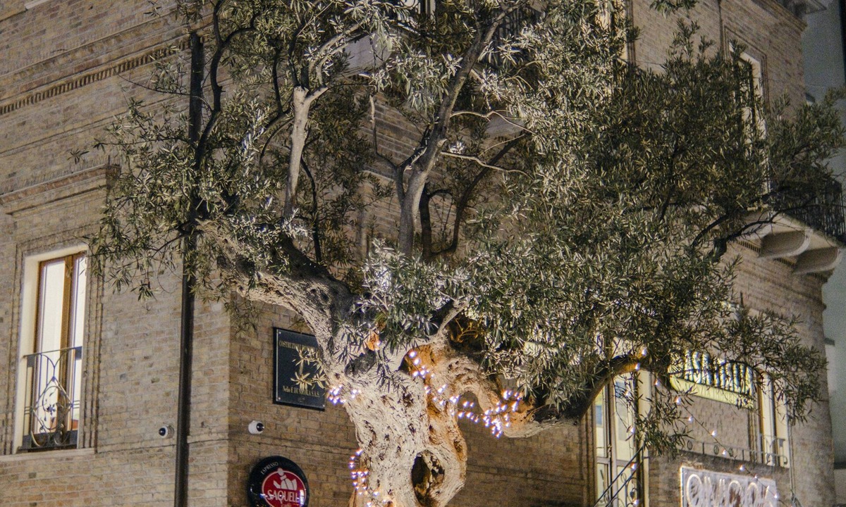 Pineta Bed & Breakfast | B&B Palazzo Storico Di Nicola