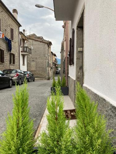 Bomarzo House | B&brown