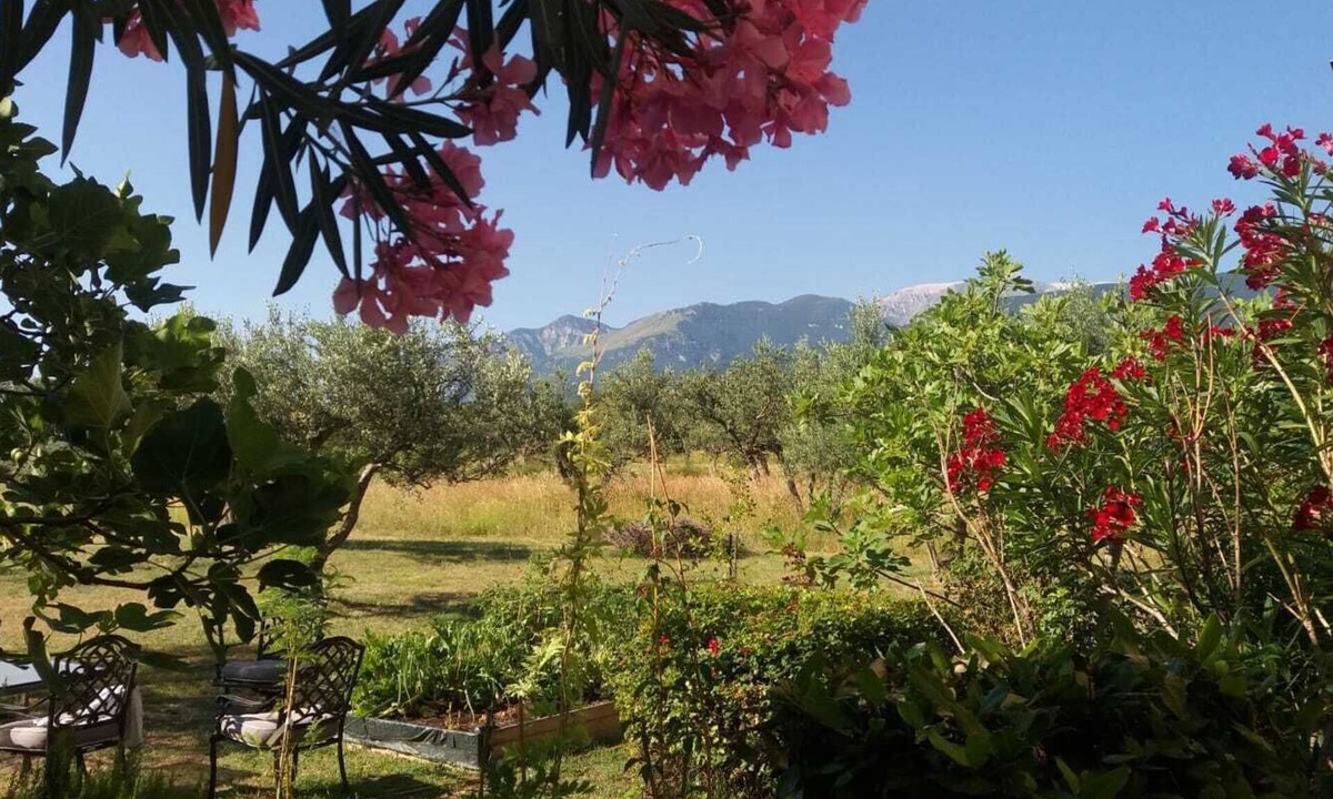 Guardiagrele House | Beautiful historical stone farmhouse apartment, this year with a POOL!