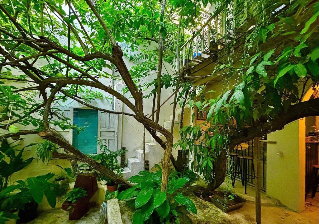 Tran Phu Beach House | Brother House