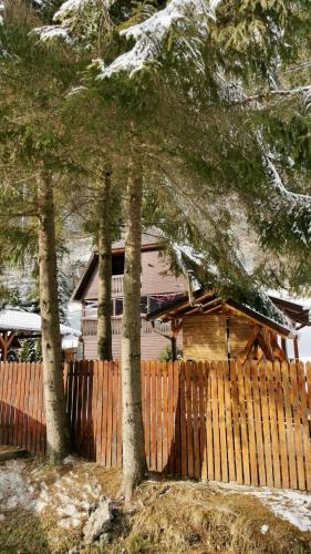 Lunca Bradului Villa | Cabana Weekend