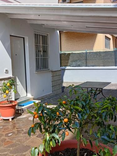 Fondi Apartment | casa bob alloggio turistico