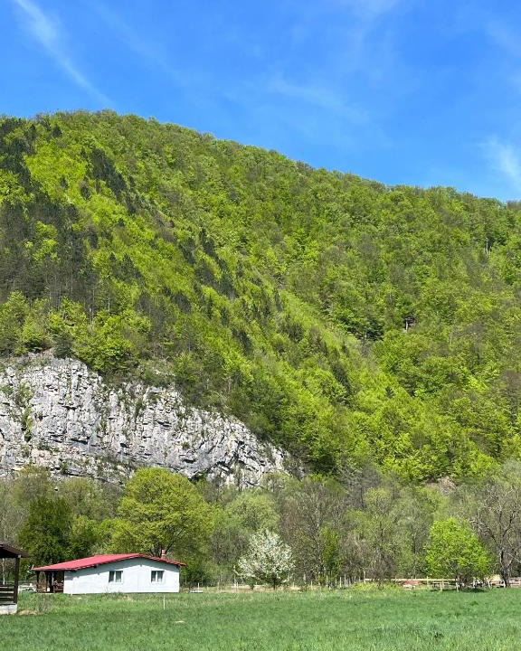 Bratca House | Casa Bulz