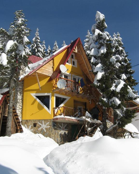 Vartop Ski Chalet | Casa Floare de Colt