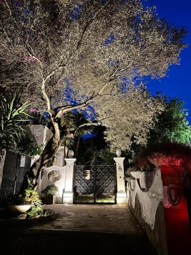Anacapri House | CASA SOFIA
