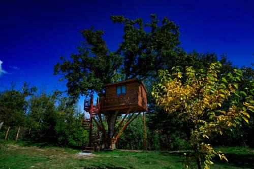 Rogliano House | Casa sull'albero Bocchineri