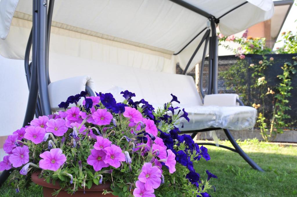 Trebaseleghe Bed & Breakfast | Casablanca