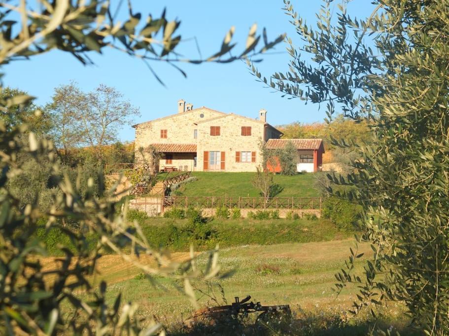 Corbara House | Casale L'Upupa