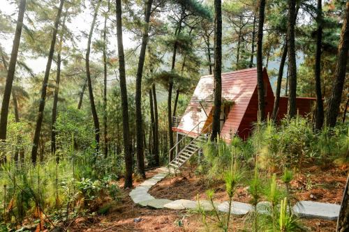 Tran Chau Cabin | Cat Ba Eco Lodge
