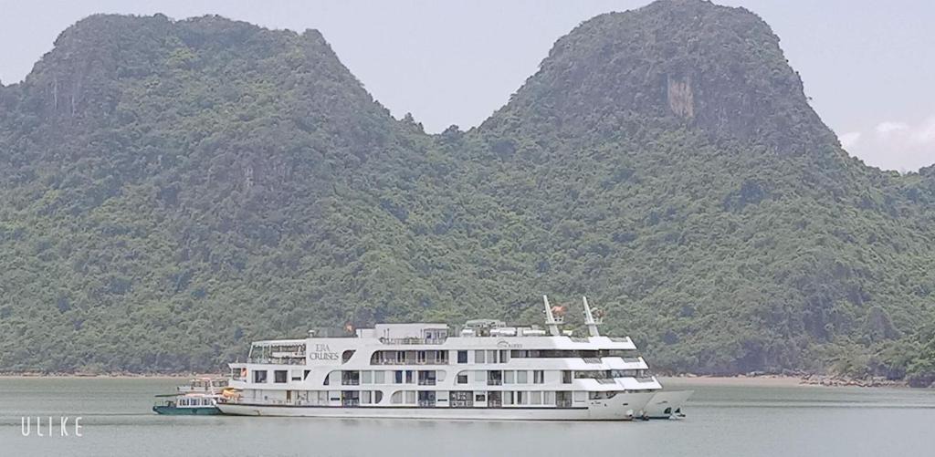Cat Ba Apartment | catba sky way boat