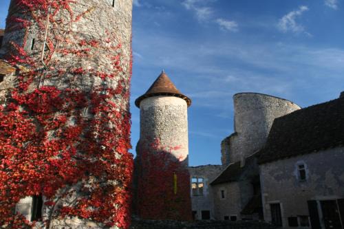 Ingrandes Bed & Breakfast | Chateau d'Ingrandes