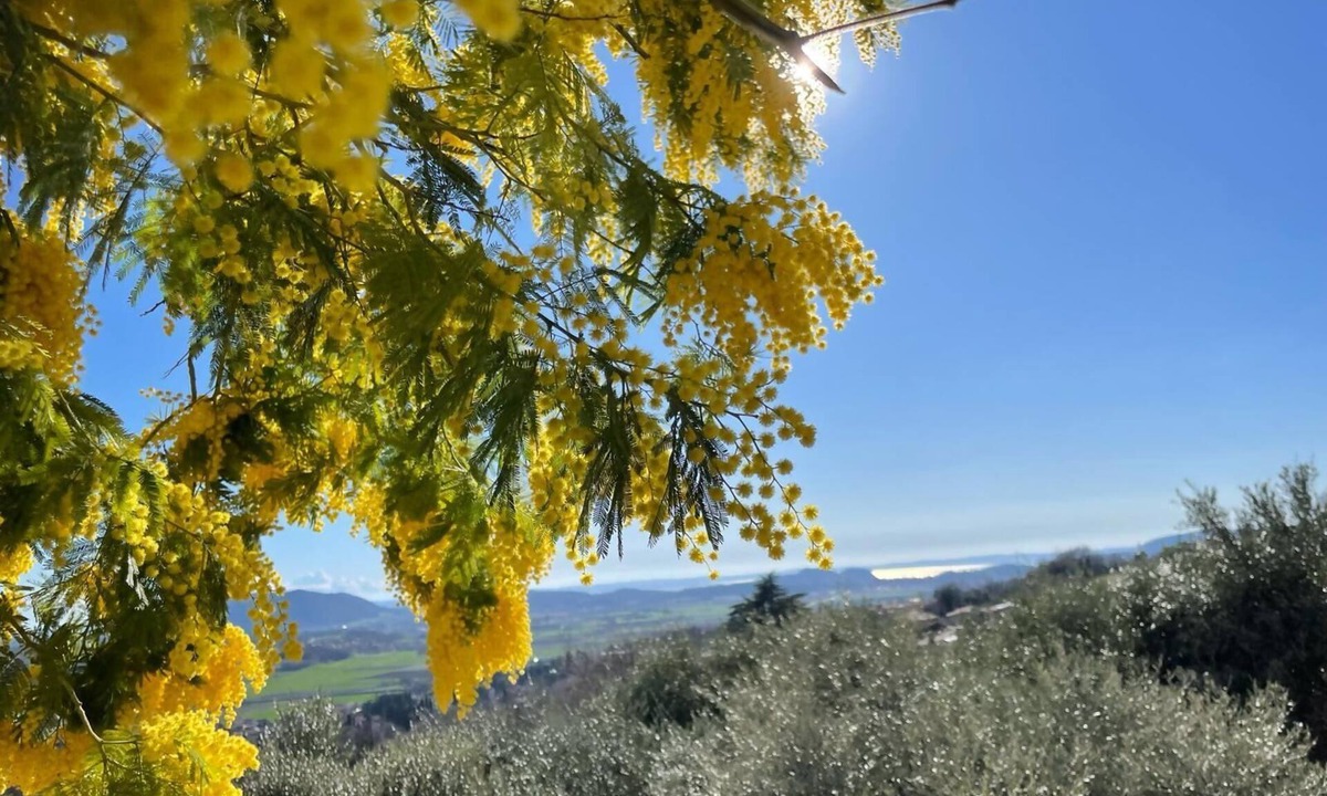 Caprino Veronese Apartment | Dimora Borgo Gaon - Casa Elios