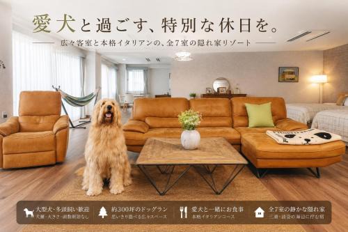 Miura Hotel | DokiDoggie油壺globe