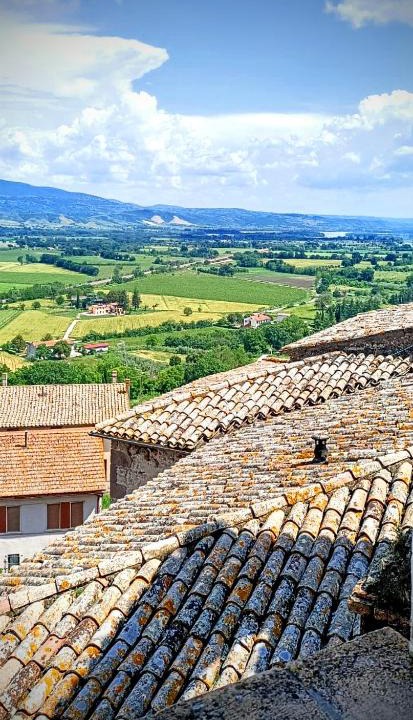 Castiglione in Teverina House | Domus Claudia