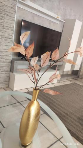 Pagani Apartment | Donna Rosa