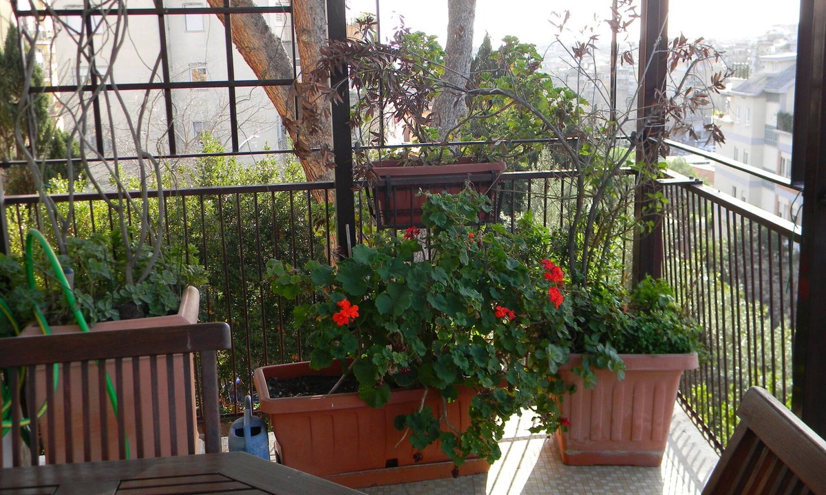 Monteverde Apartment | Elegant and spacious, well-furnished apartment with 3 terraces, WiFi-free