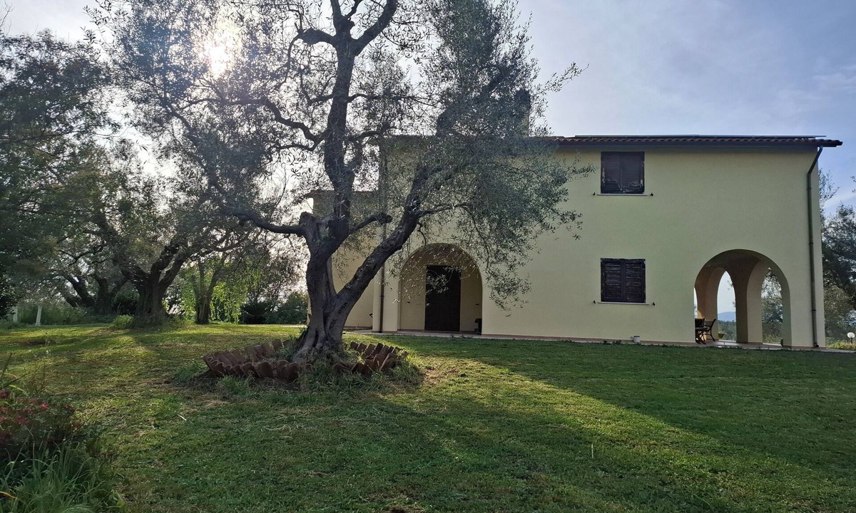 Canino House | Entire private estate surrounded by ancient olive trees. Privacy and relaxation.