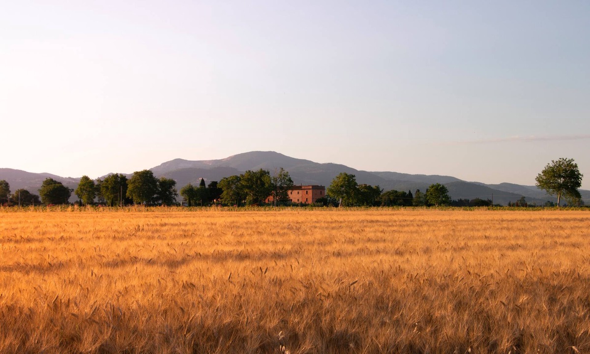 Piombino House | Farmhouse Pescinone - Poppy, country and sea