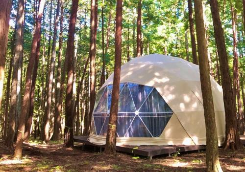 Shirasu Other | glampark Verga