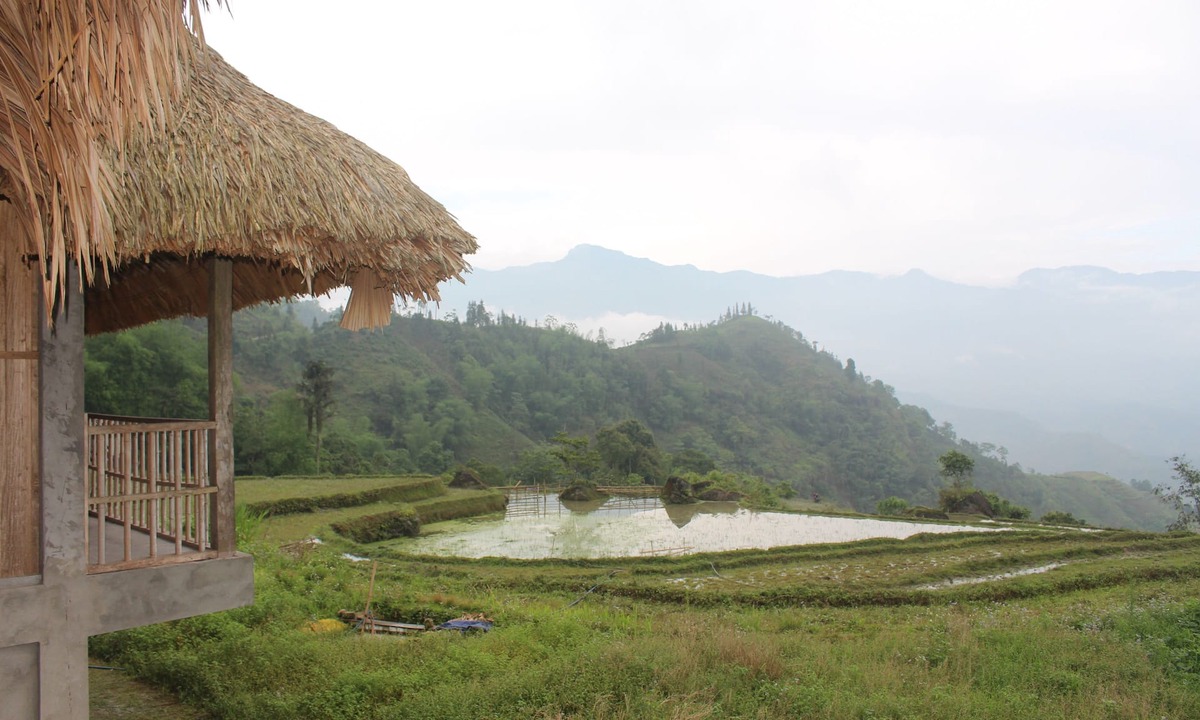 Thong Nguyen Hostel | Guyen's Homestay - Hostel