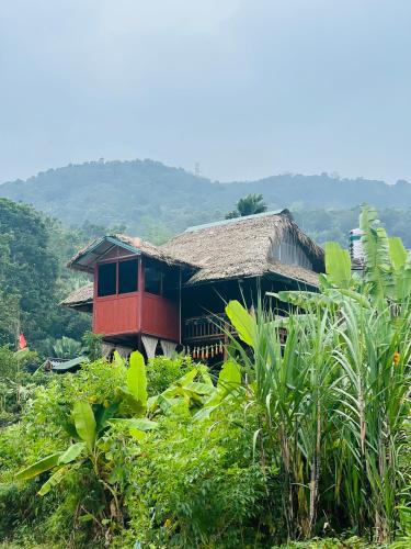 Ha Giang Bed & Breakfast | Ha Giang Uphill Coffee Farmstay