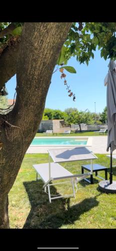 Bellona House | Habitat Luxury Suites
