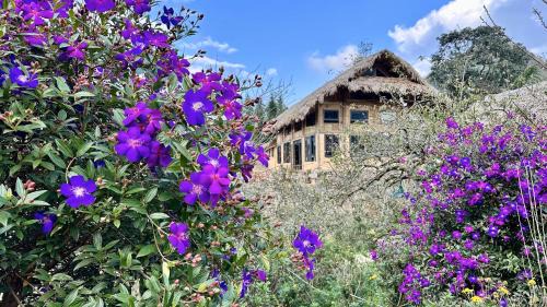 Van Ho Cabin | Ho May Garden Retreat - Moc Chau