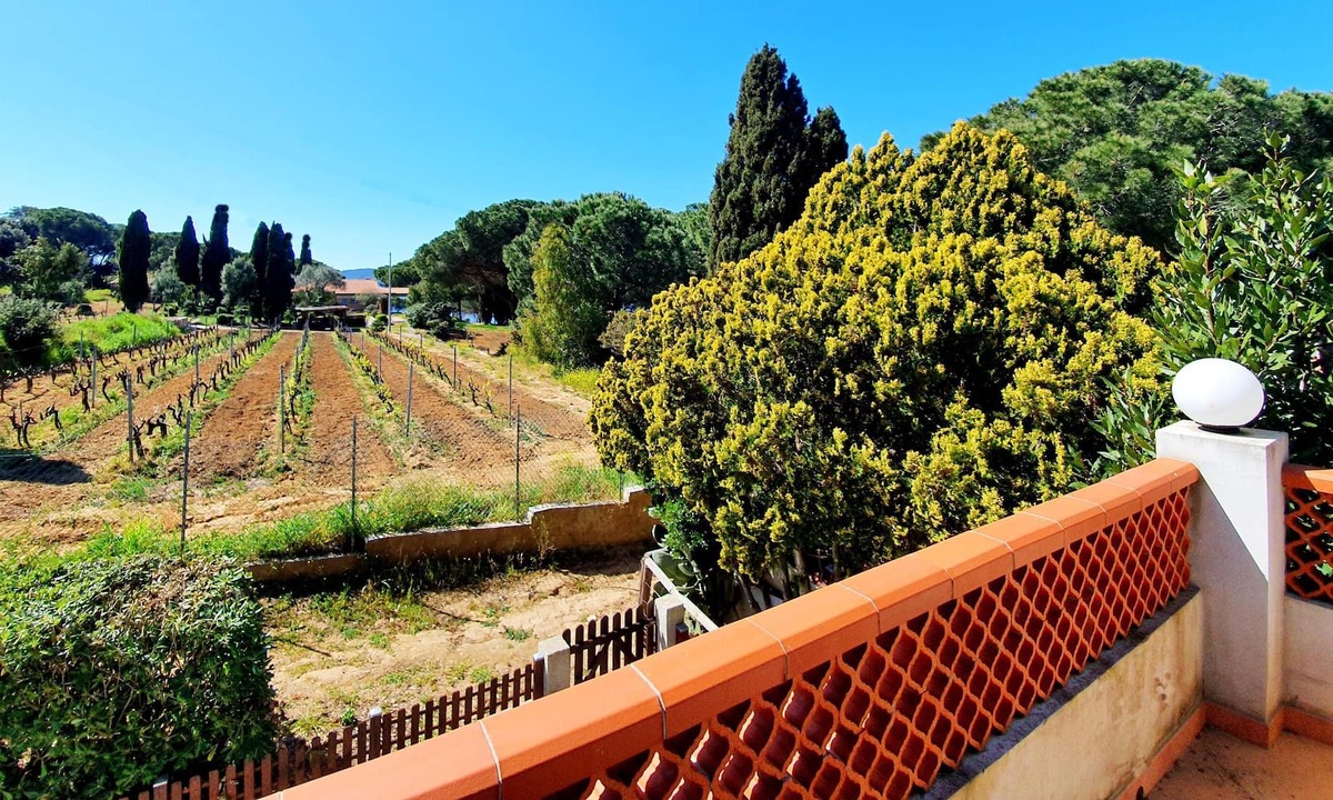 Lido di Capoliveri Apartment | Holiday Apartment "La Scogliera" with Sea View, Air Conditioning & Terrace