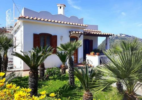 Lacco Ameno House | Holiday Apartments