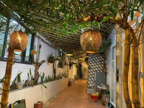 Ong Lang House | Homestay Mia Diệu Nhàn Phú Quốc