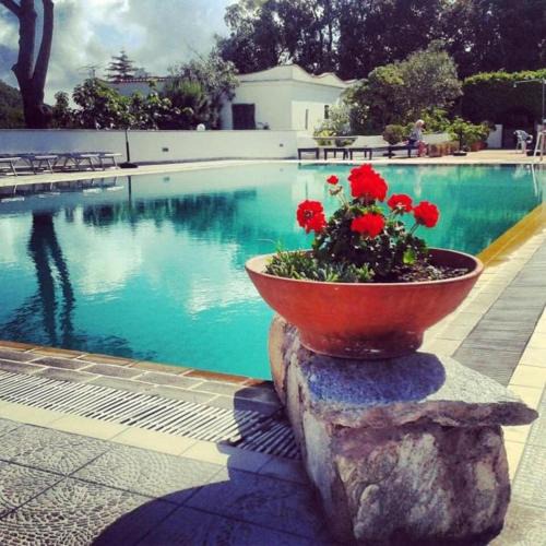 Panza Hotel | Hotel Al Bosco