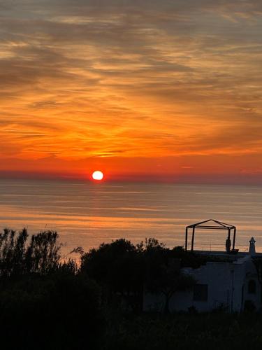 Forio Hotel | Hotel Boutique Ideal