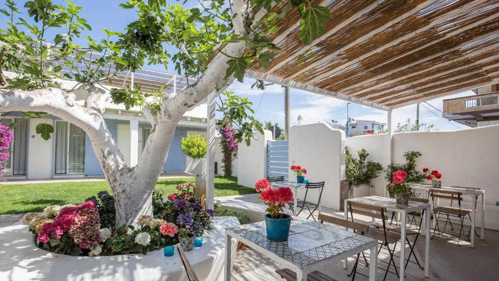 Focene Hotel | Hotel Intorno Al Fico