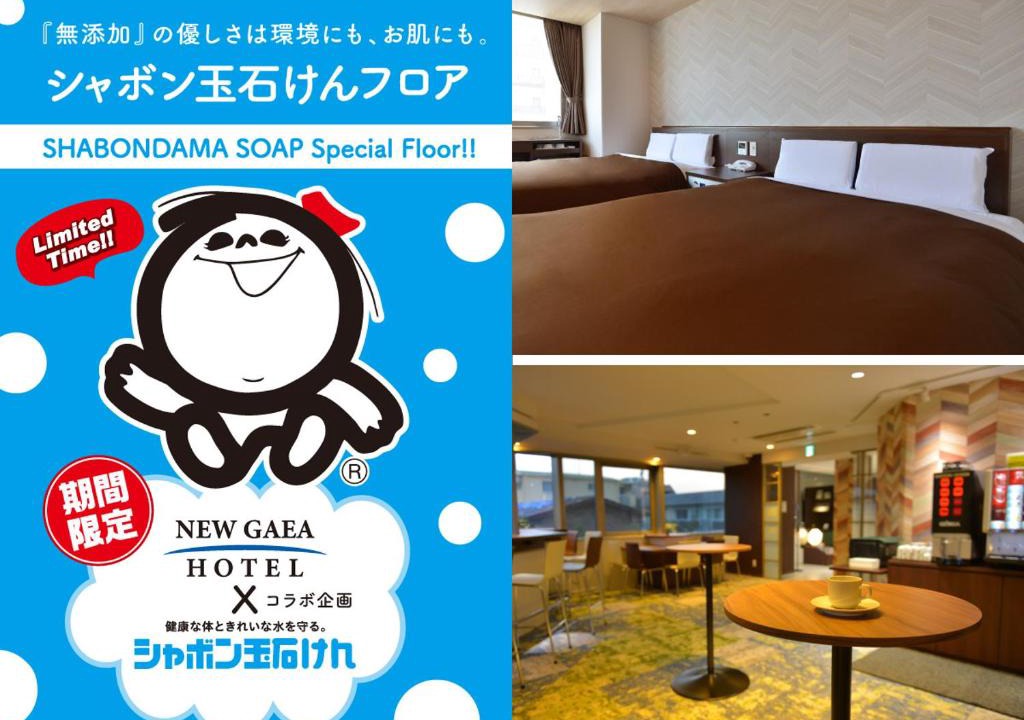 Chuo-ku Hotel | Hotel New Gaea Domemae