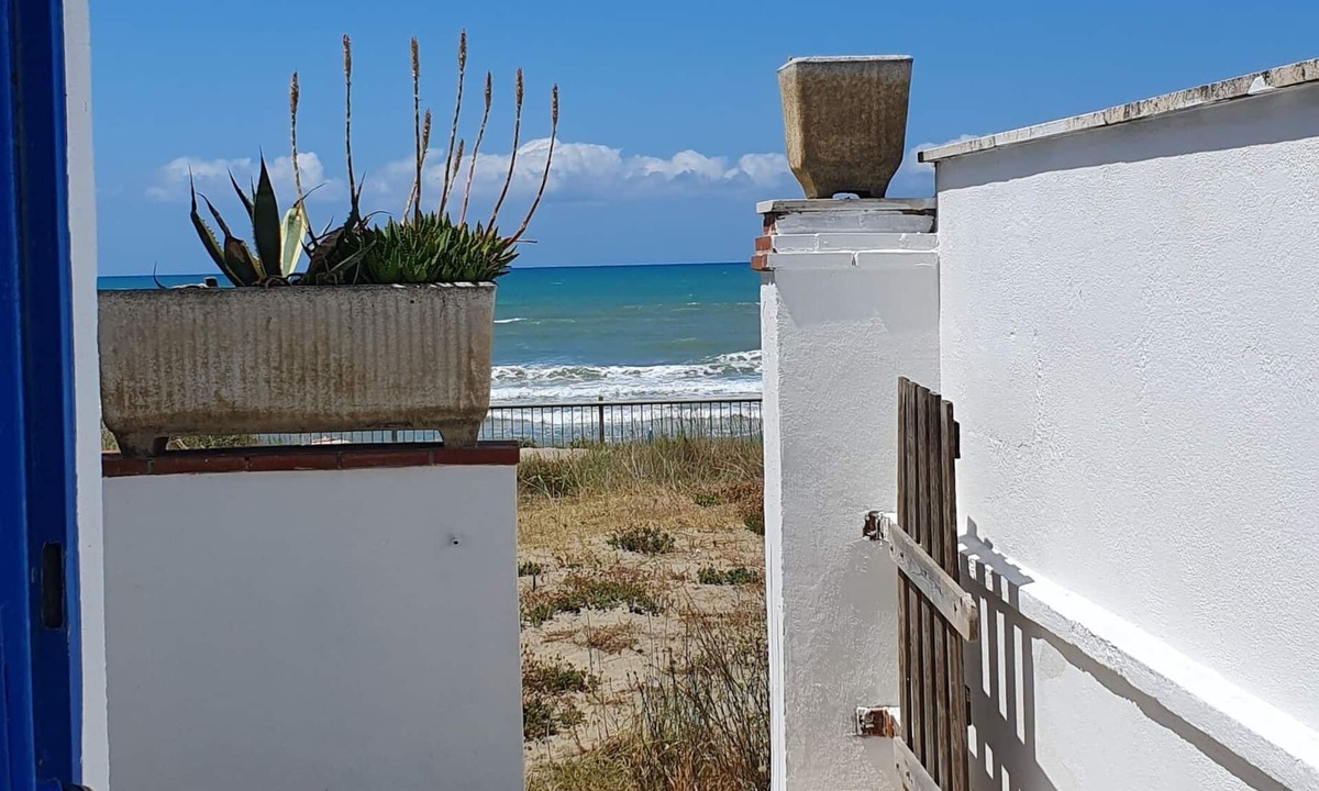Ardea House | House on the beach