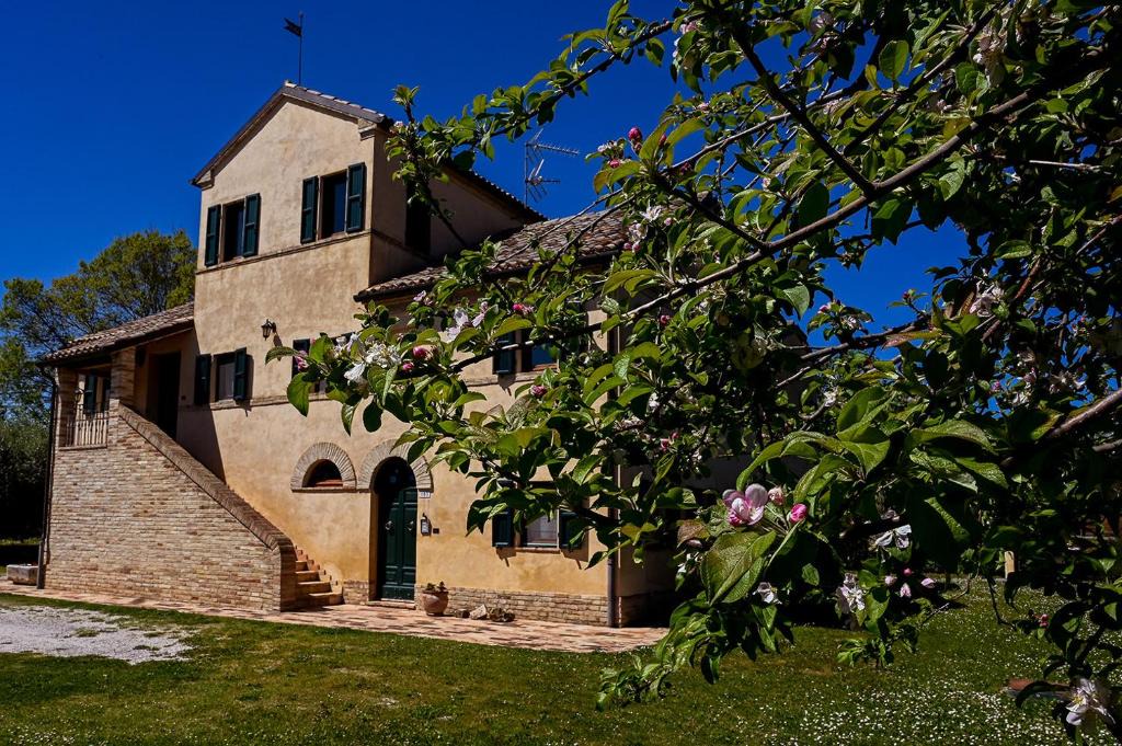 Osimo Bed & Breakfast | I Ciliegi
