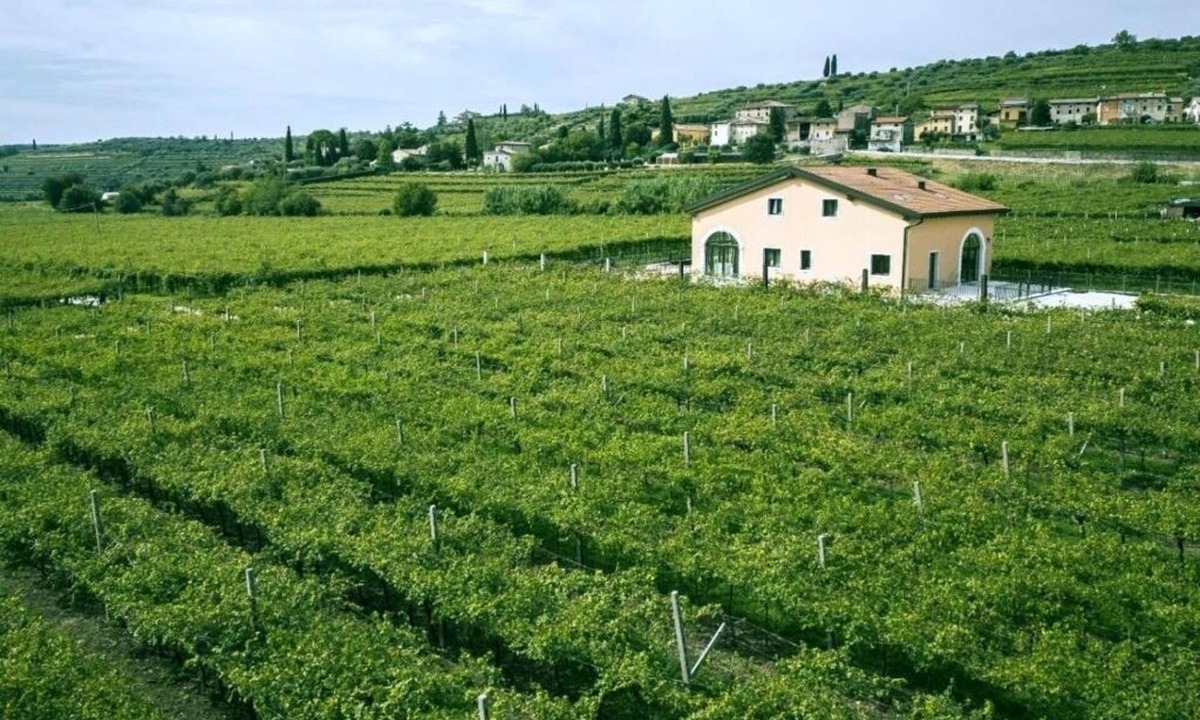 Negrar House | Igino Farmhouse: Double Room with Disabled Access