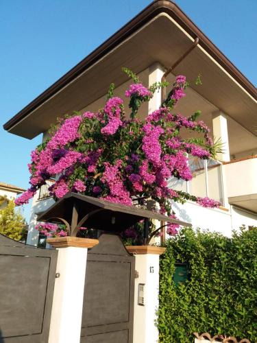 Manoppello Bed & Breakfast | La Bouganville di Sante e Rosa